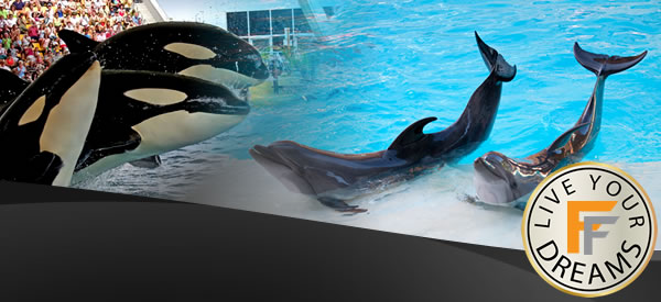 Subcategory: Animal encounters